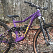 Fugitive purple FB.jpeg?VersionId=caysB3JYlBARXiWkh